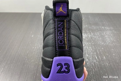 Jordan 739 Retro CT8013-057 EasyMatch Air 12 1117